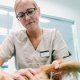 Vet Zentrum Köln - Tierärztliche Klinik für Kleintiere, Köln - 13