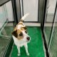 Vet Zentrum Köln - Tierärztliche Klinik für Kleintiere, Köln - 15