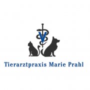 Tiermedizinische Fachangestellte Tiermedizinische Fachangestellte (m/w/d), Lübeck