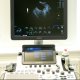 Tiermedizinische Fachangestellte / TFA (m/w/d), Tespe - 4